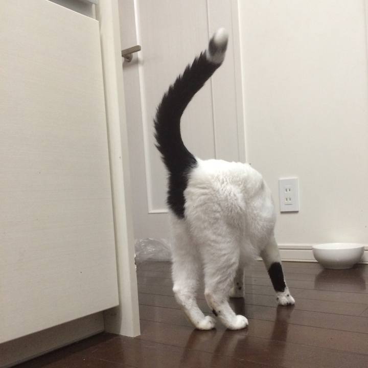 E41ba219 6244 4e8d 90f2 df2a22ef2308