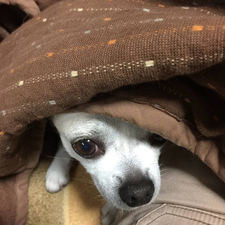 E41c19f0 1f49 4485 baaa 5cd4b3789a16