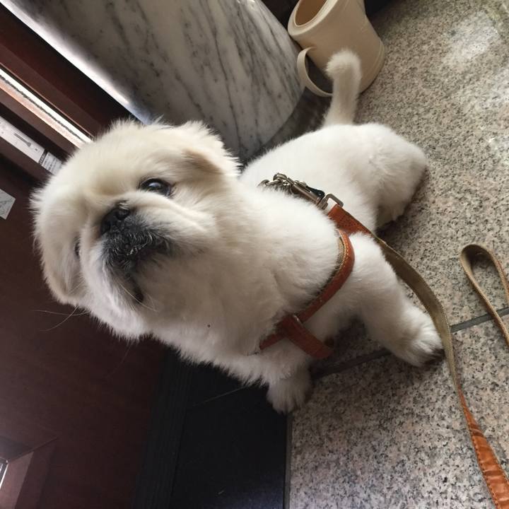 E41c3eb7 a734 41de a143 34bd453fd071