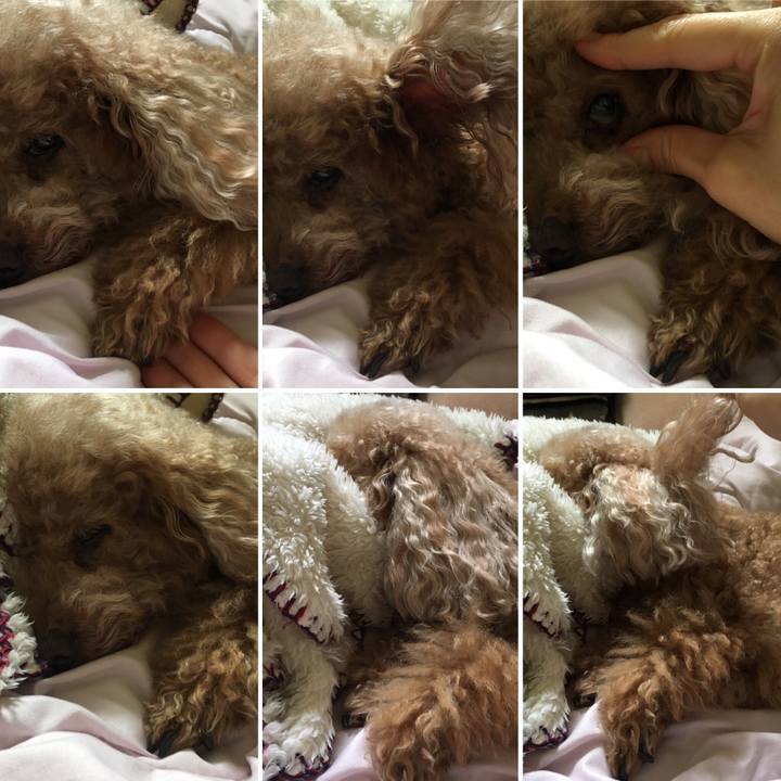 E41c8fb2 534d 4bd4 8485 a1d4be6e2a14