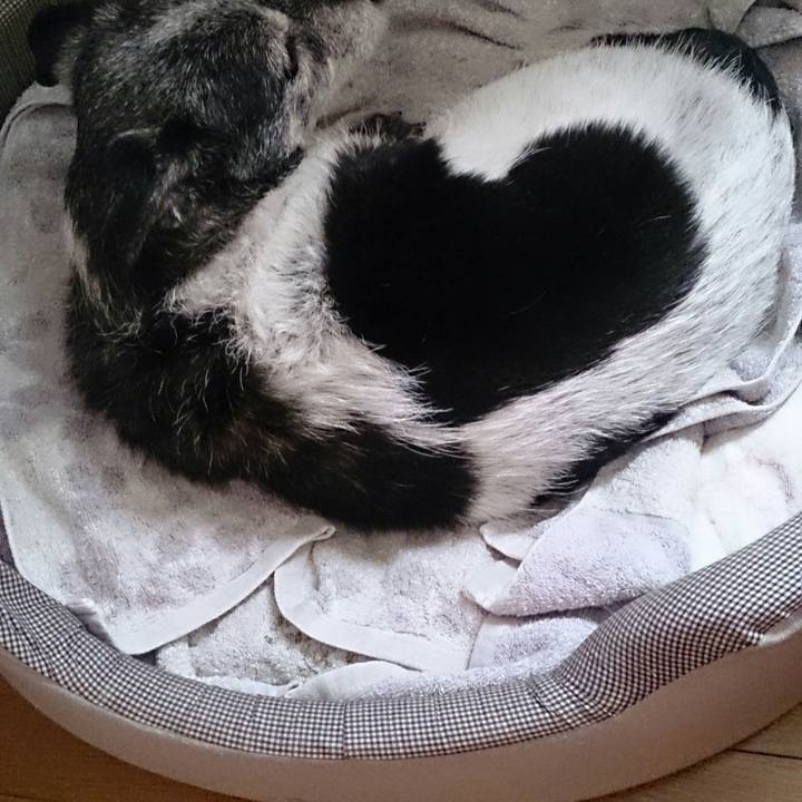 E41ca817 d233 446c 97af 8aca1e6813d4