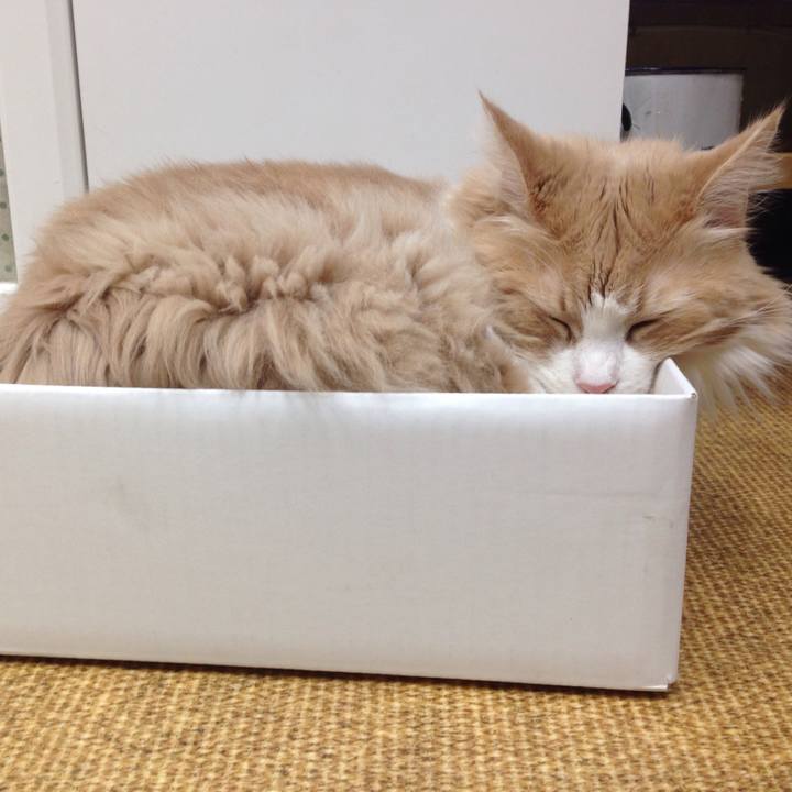 E41cc868 d14b 4f93 b980 cecb699d4687