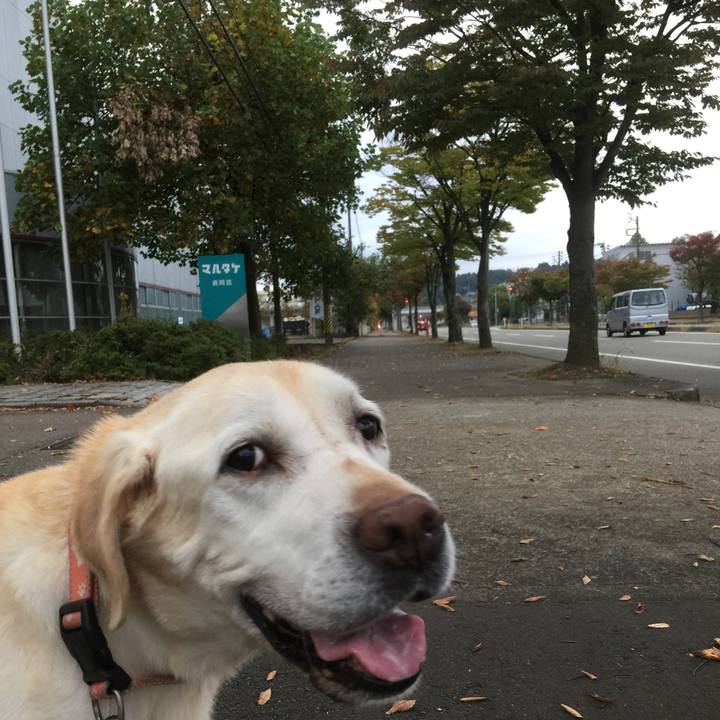 E41df58f 23c7 4e75 904b 0a8d21ea9f5c