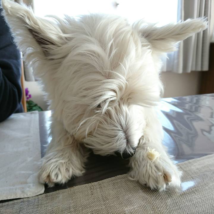 E41e3e75 d2b5 49d1 a0c5 80a6e69e616b