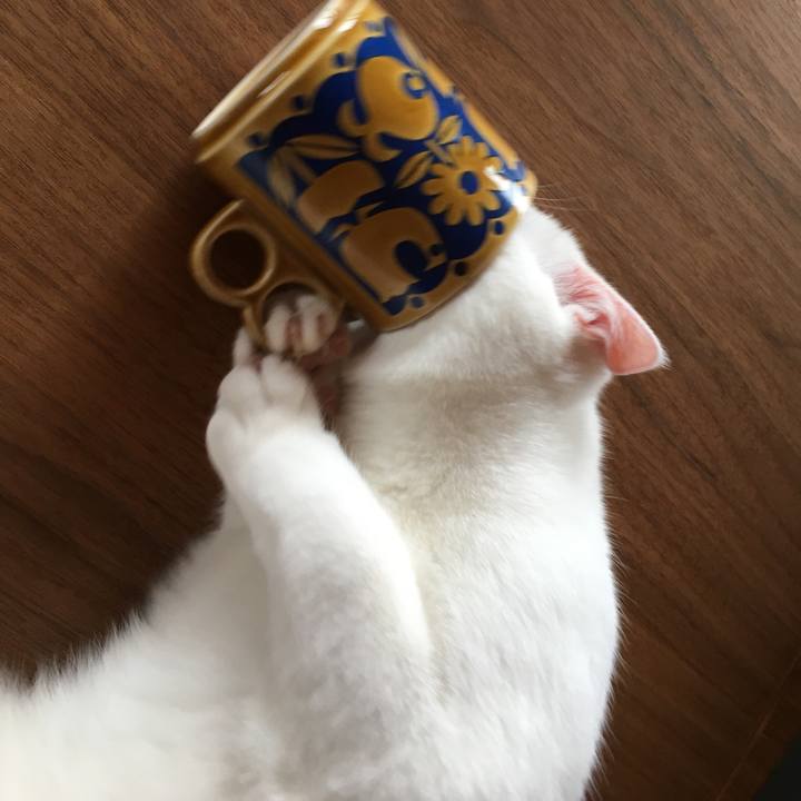 E41e757f da0c 45c7 a853 b561698e51d7