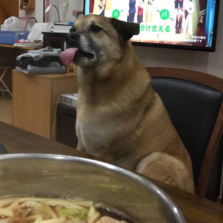 E41ee04e 6156 49e5 865a 421b2c9736f8