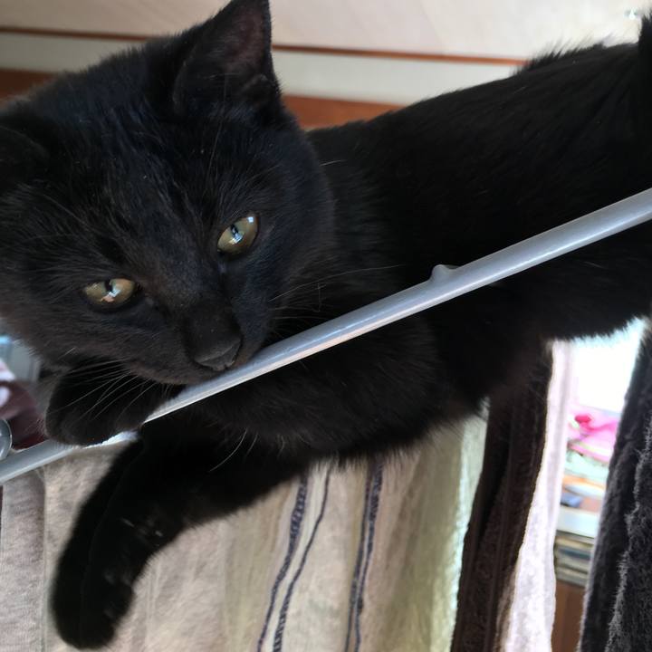 E41f2a0b de63 4693 84c1 79beba243f79