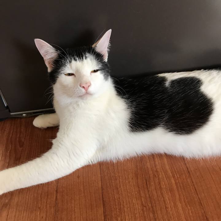 E41f2d44 e167 4a8f ae17 5e33d4c6060f