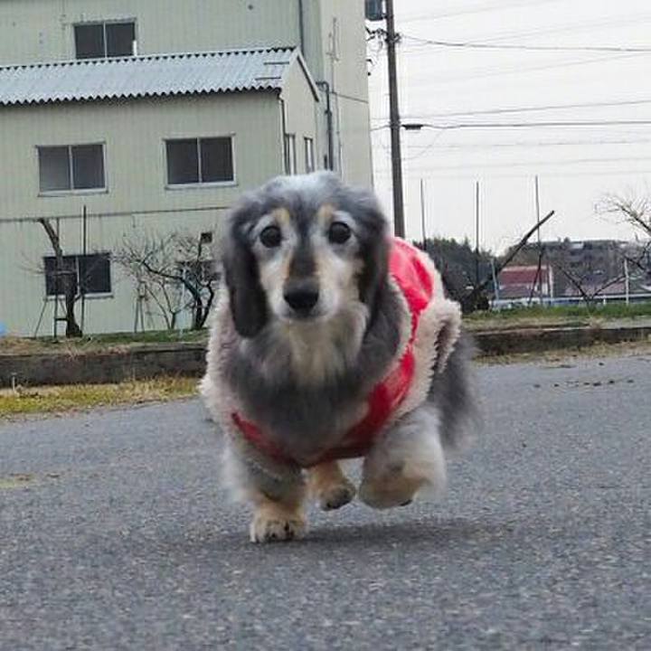 E41f594d d7dc 4d61 afe2 1fd52604cbcb