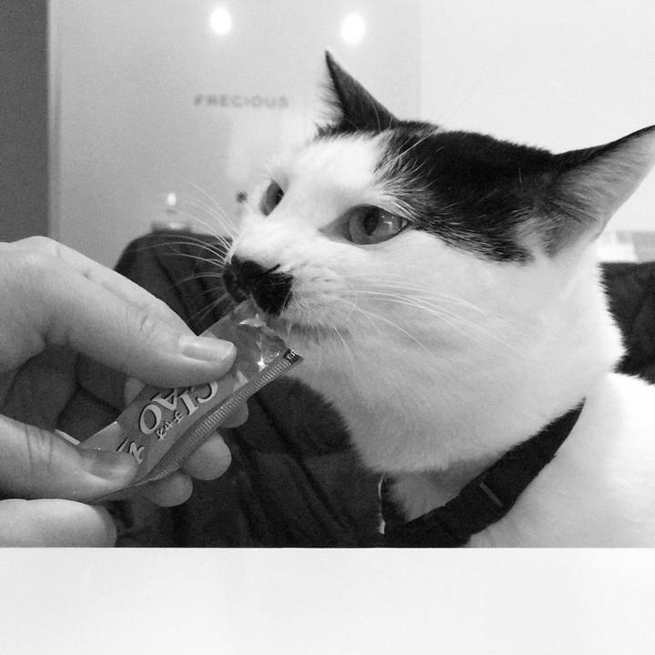 E41f8be5 fac5 4ded b623 9213a4704f24