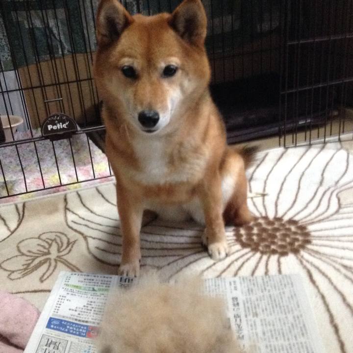 E41fbd19 7a89 4d8a b41f 6eb2541bc7a2