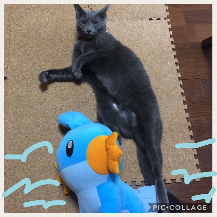 E4200db5 7285 40b2 912f 4fa65e4f7cdd