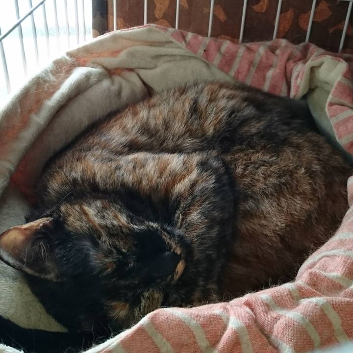 E420bc5f 163a 482c 9591 d9e71c0eacb6