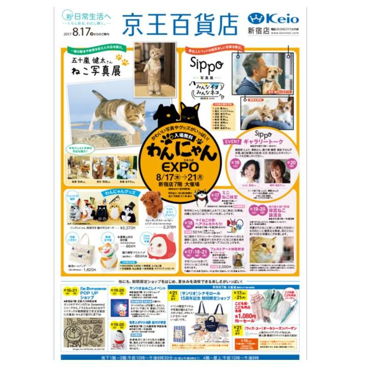 E4221ce4 788d 44a6 a0ae 701564c54d35