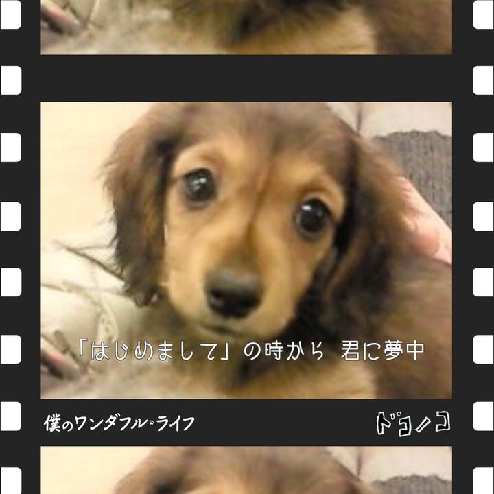 E4229a10 43c9 47a6 885d 93fe8f73c461