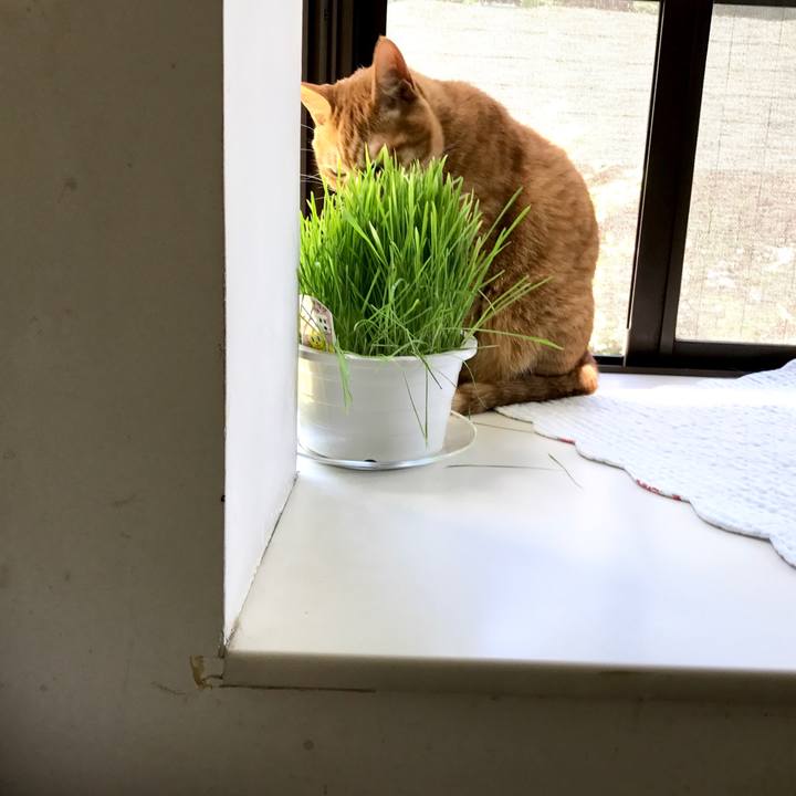 E4231512 33ea 42d0 84d8 2ee2056e21f7