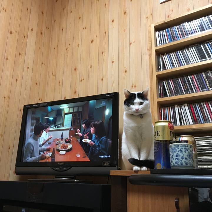 E4234fa7 8d87 450c 9be0 6983568fc996