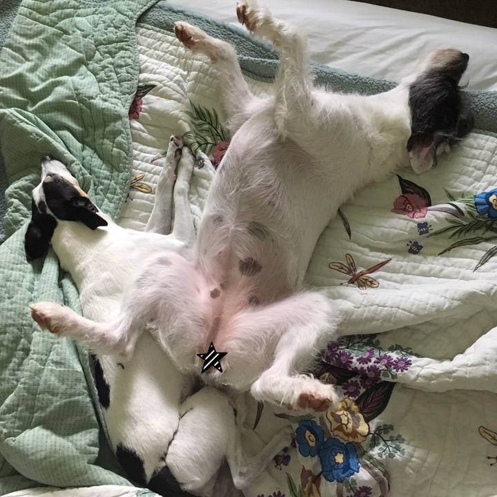 E423ceb7 009b 46d0 91c4 ff3ff50ed21c