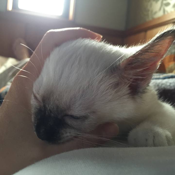 E423d028 05fc 491c b019 674d3d8cbf9f