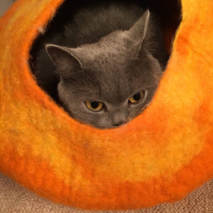 E4248e15 1ddb 46a4 a306 37060cbad167