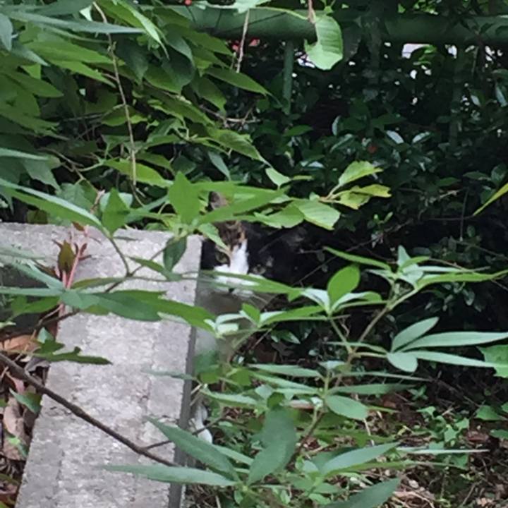 E424c1ed 5de0 4150 b98b 83f31822901c