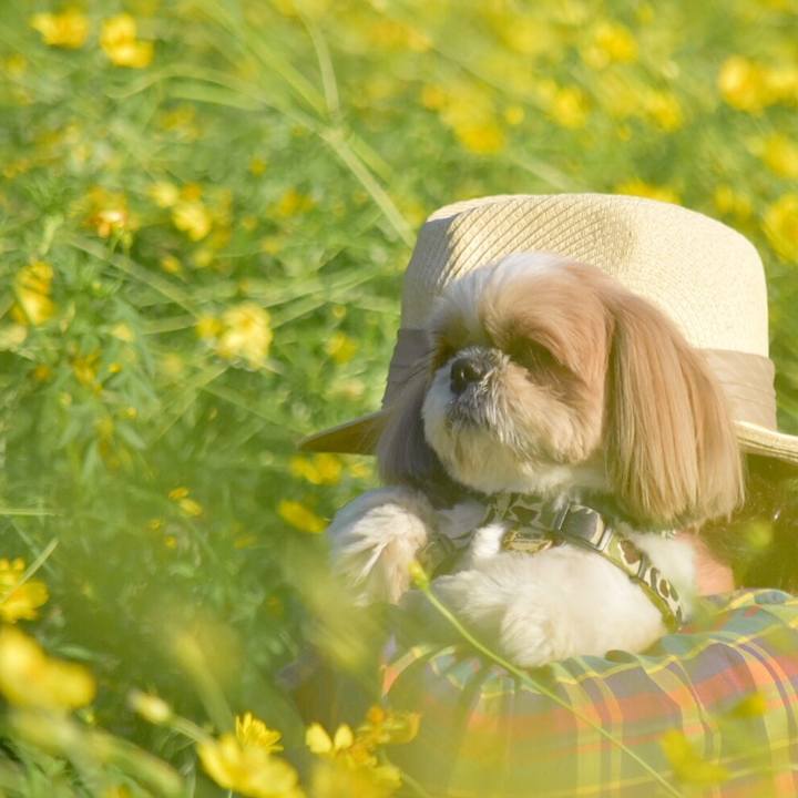 E424e31b 21f4 4167 a571 6429e91f209e