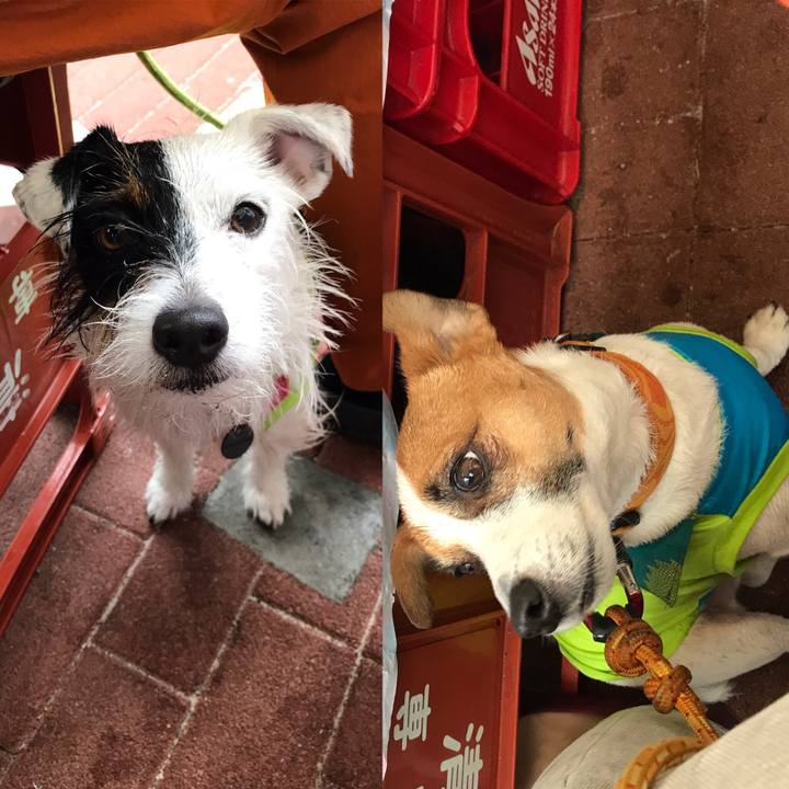 E4250c95 a61b 47ca a42c f6bcfcd6ff80