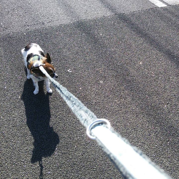 E425443e ae3f 459f 9d72 63958e1db276