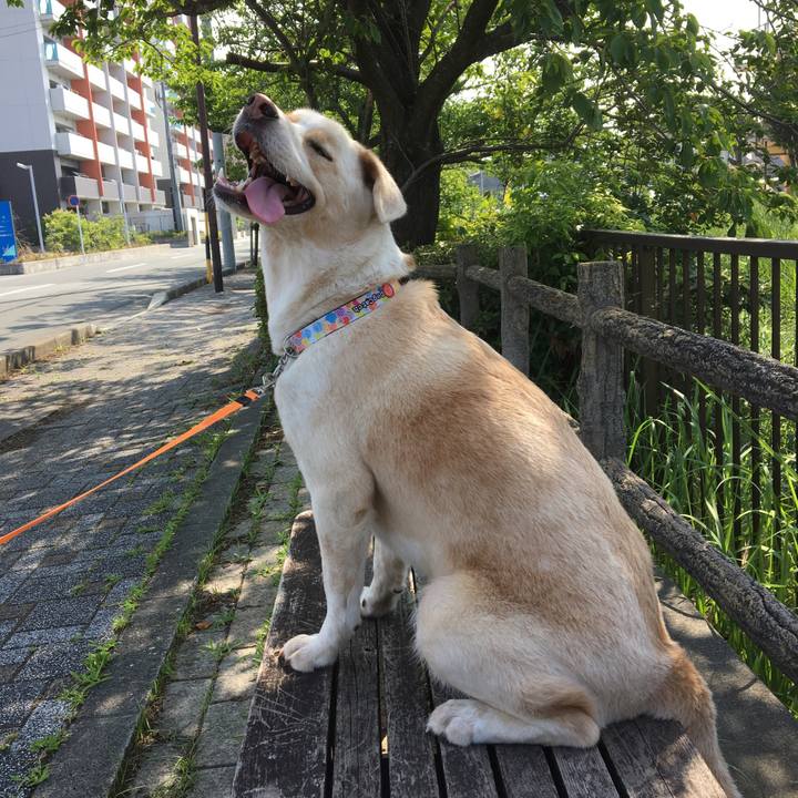 E4254ae4 a03f 4bc3 8129 da73f514787b