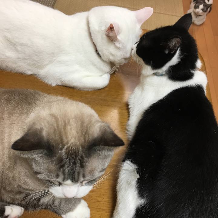 E425aa47 4edc 4910 a47b 6ca91a9a89d5