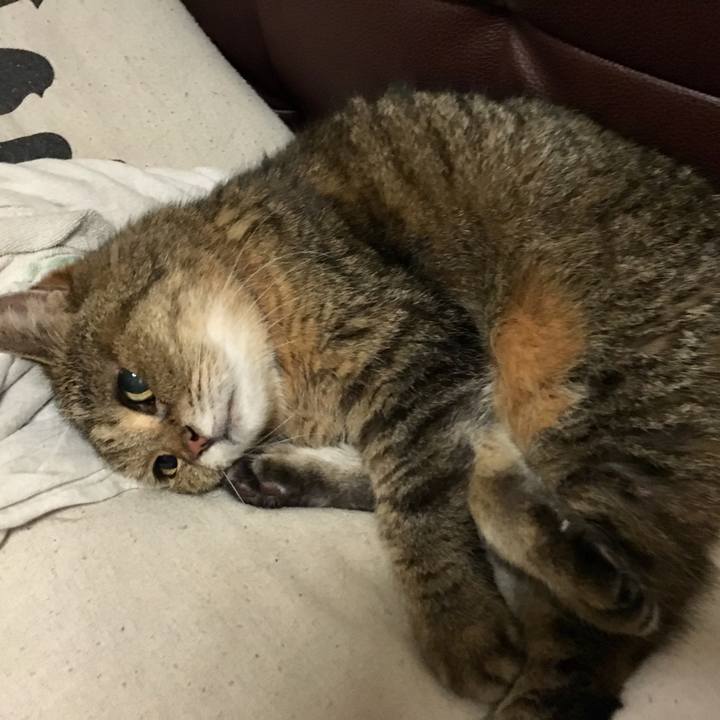 E425cb65 387a 4daa b01e 5e66a6d0805f