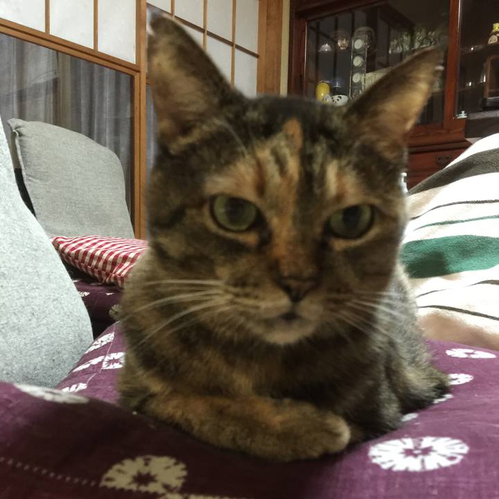 E425f707 703d 46b2 bc34 c520c0465d13