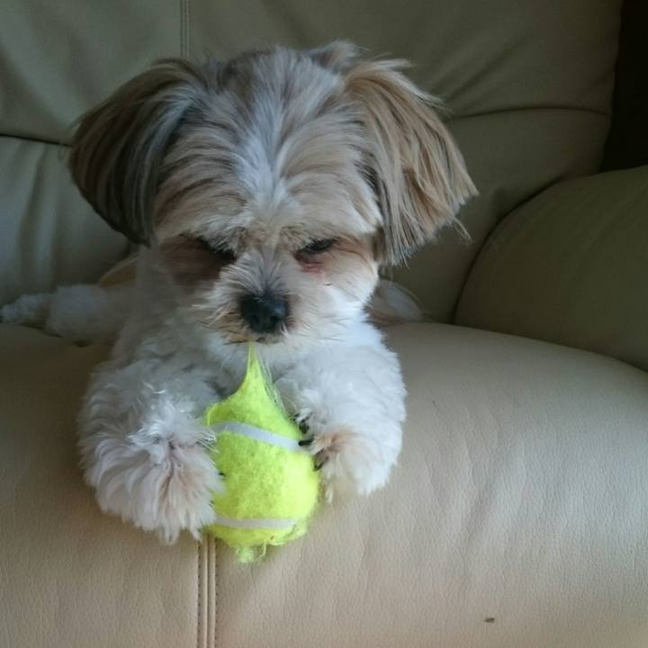 E4261eea fc08 4387 807f b89d8d11d2c7