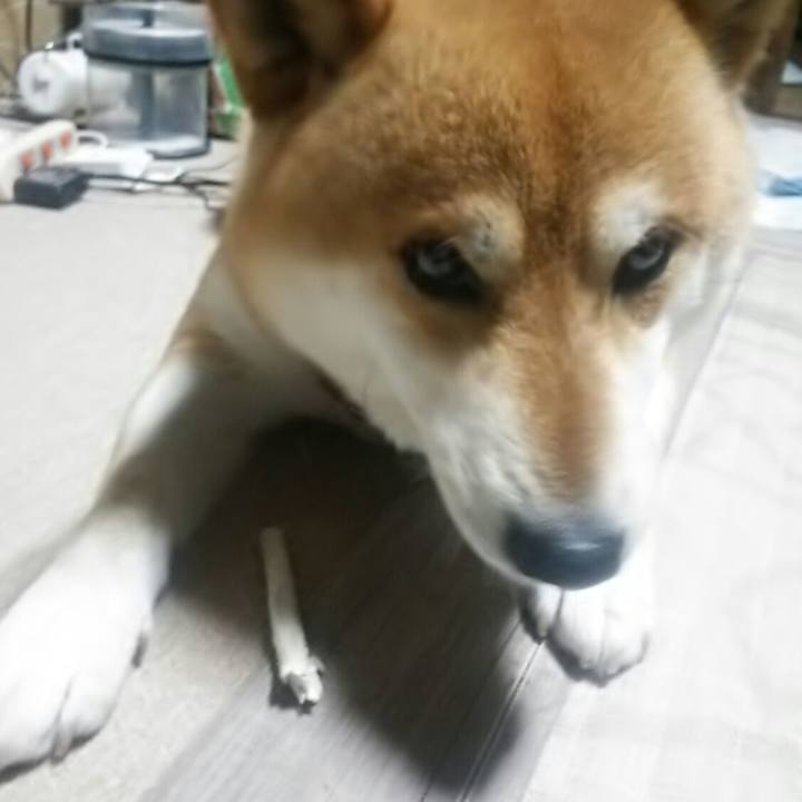 E426bfd6 206b 4053 ba69 43dfc5a2b825