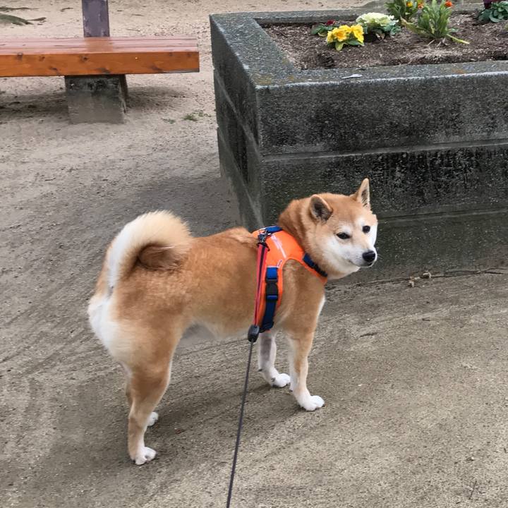 E427843b 5de7 497f 9592 2720bb769aca