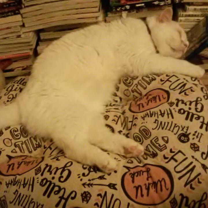 E427903c 7cdf 499f 8a90 c0a5d7710b1f