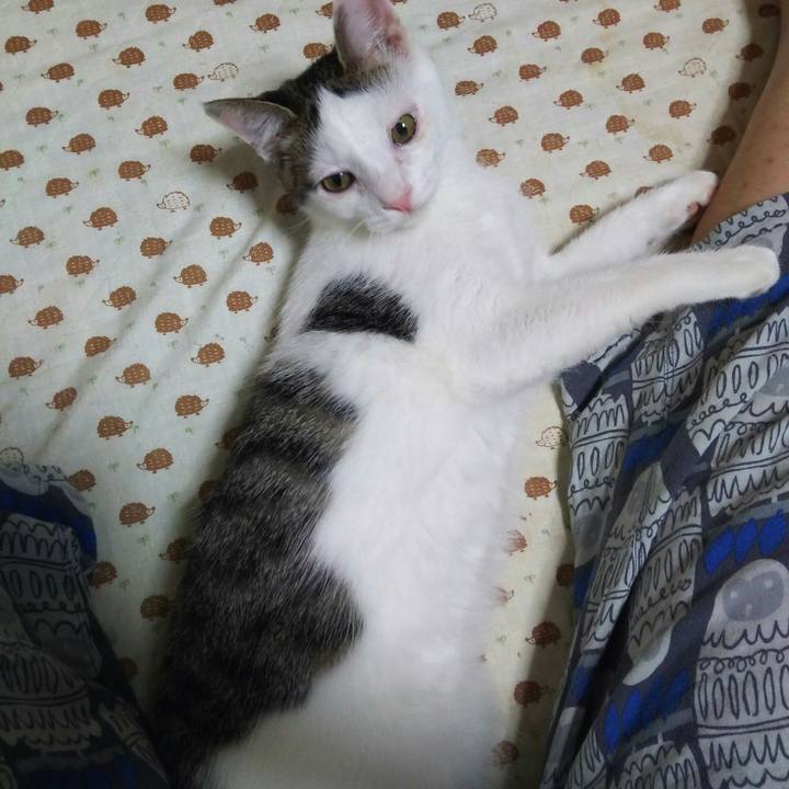 E427bc75 21ce 4f80 b379 2ed4642ab79d