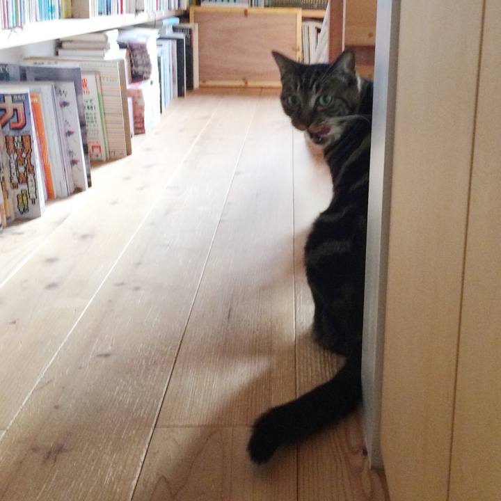 E428565c 2fdb 4a23 9a0d 328cf08687a5