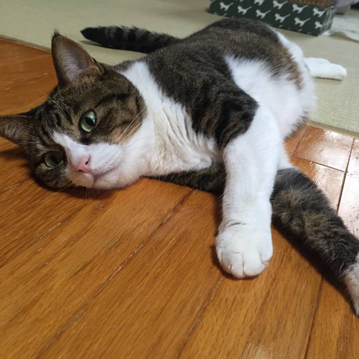 E428629c 192e 4349 9103 1d54c394aed7