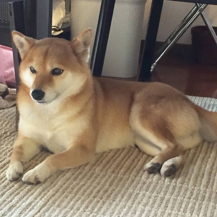 E428aa4d c32b 4a90 bd09 a1ef957d3df4