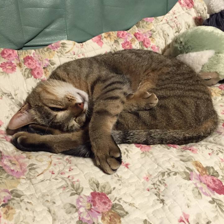 E429a0ac 1c48 4e23 8563 7877821ba0bc