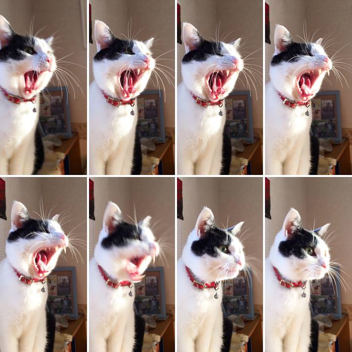 E42b51f6 6457 4693 8d23 fe352e765d16