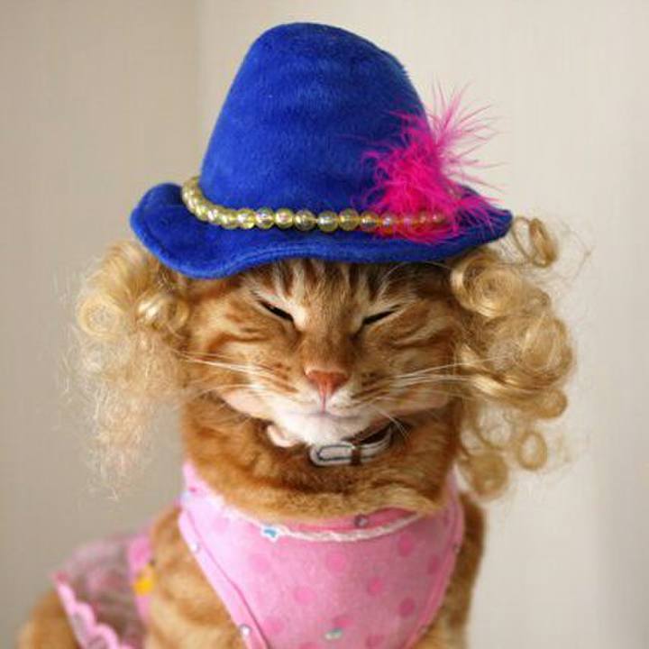 E42beb8e bb87 4a1a ba92 d169cc784b67