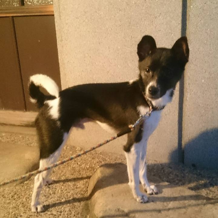 E42c8dd9 1d7c 4eae 826b c9562129b540