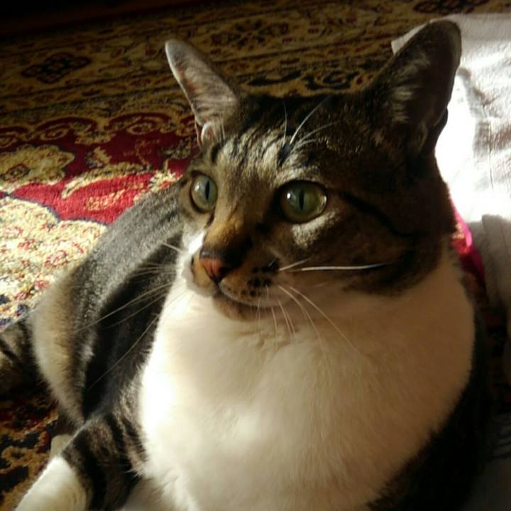 E42cba6f d2ae 43e5 97a0 b79ed50e2b43