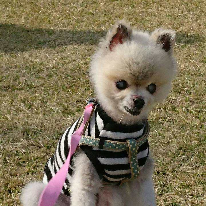 E42d3485 e16d 481e a2d1 d5f917af5e6e