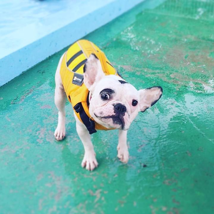 E42d8af8 74d6 484a b768 5ba2d232ec1b