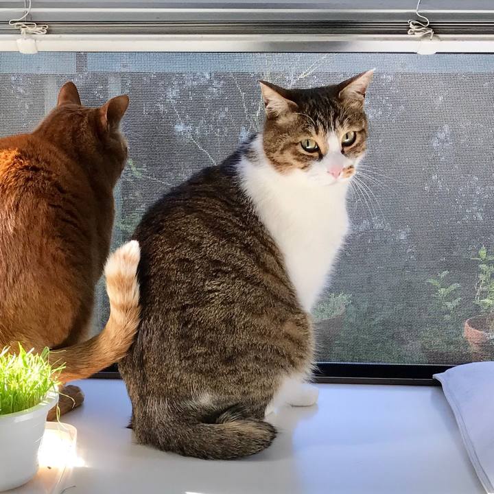 E42dc09d e3ac 454a 9258 e1e24ca91c17