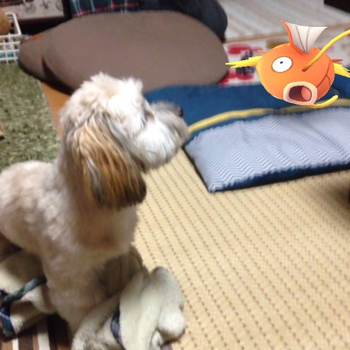 E42dcb08 d975 4d13 a107 8164fefea0df