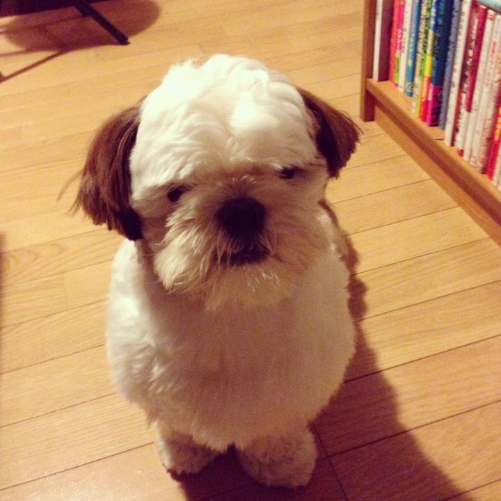 E42dcc32 ed18 428b abcd d785a896637b